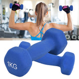 Matte-Finish Dumbbells for Home Workouts – Durable and Stylish Fitness Essentials